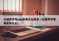 小程序开发app应用什么语言（小程序开发语言叫什么）