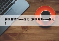 衡阳有实力seo优化（衡阳专业sem优化）