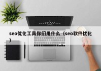 seo优化工具你们用什么（seo软件优化）