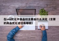 在seo优化中商品权主要由什么决定（主要的商品优化途径有哪些）