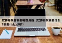 软件开发都需要哪些资质（软件开发需要什么?需要什么公司?）