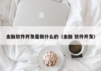 金融软件开发是做什么的（金融 软件开发）