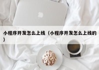 小程序开发怎么上线（小程序开发怎么上线的）