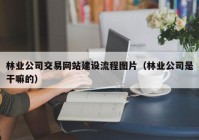 林业公司交易网站建设流程图片（林业公司是干嘛的）